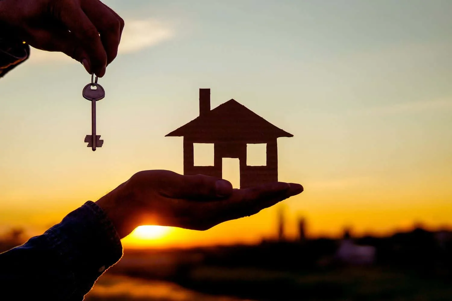 une-capture-decran-de-linterface-dimmofacile-un-logiciel-innovant-qui-facilite-vos-transactions-immobilieres