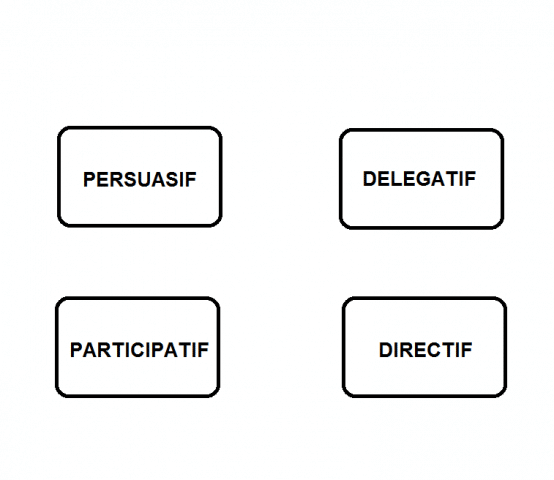 différents types de management