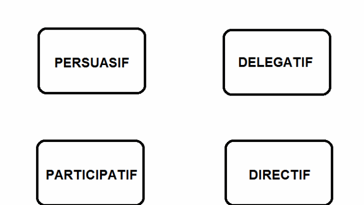 différents types de management