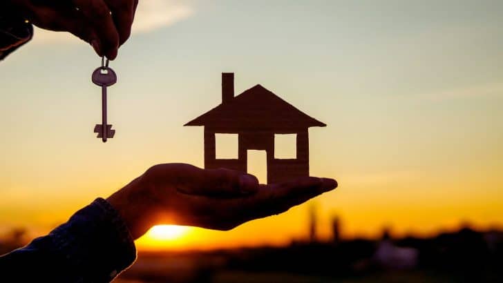 une-capture-decran-de-linterface-dimmofacile-un-logiciel-innovant-qui-facilite-vos-transactions-immobilieres